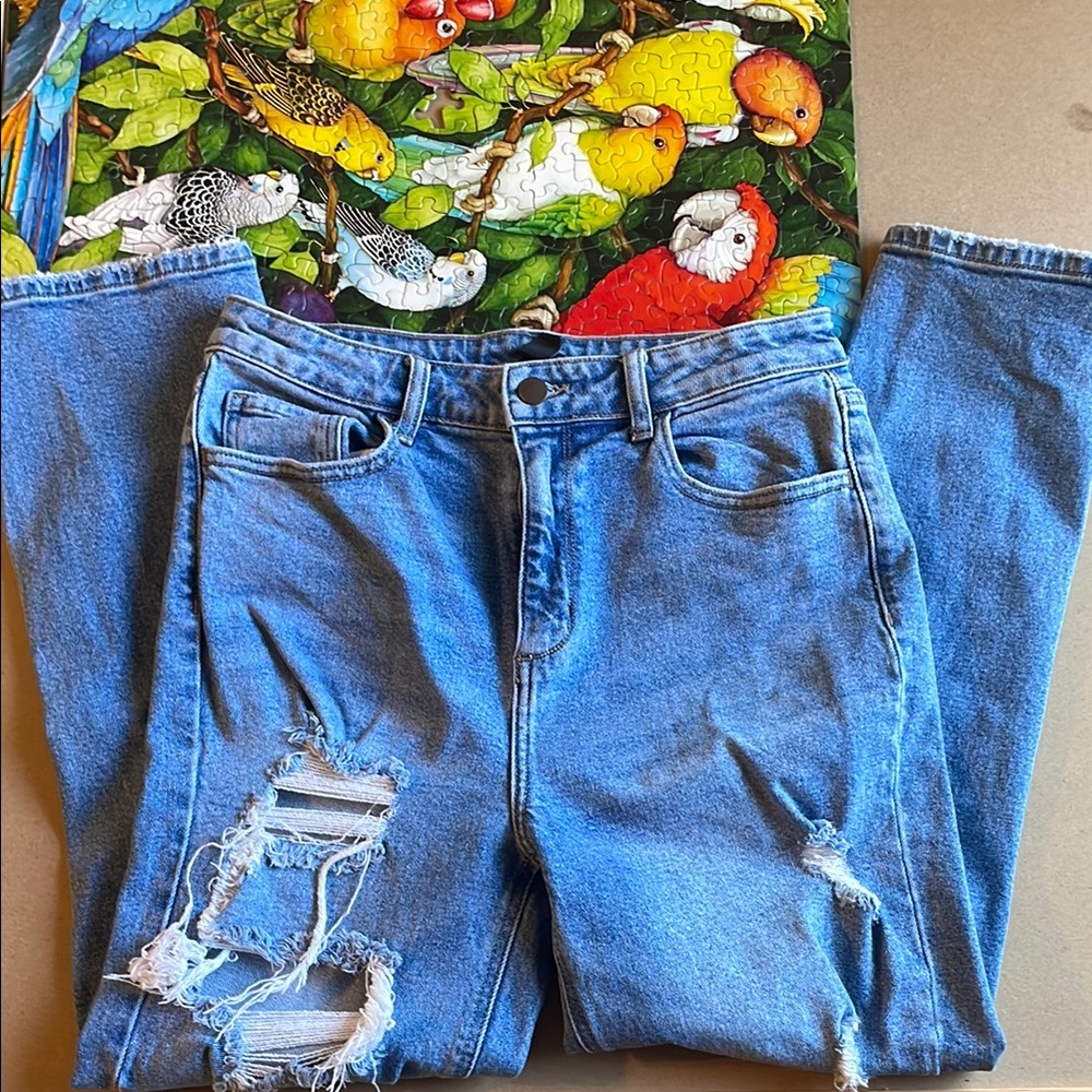 Distressed Blue Jeans by Windsor